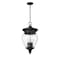 Z-Lite Davina 4 Light Outdoor Chain Mount Ceiling Fixture, 12in. W x 23.75in. H, Black 5016CHB-BK - alternate 7